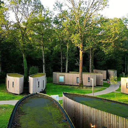 Hidden Gem For 2 Guests * Antoing